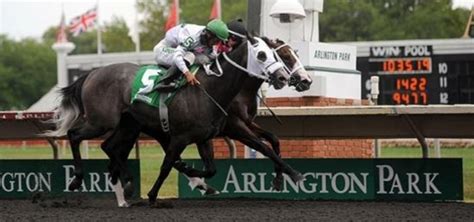 Illinois Race Tracks: Where to Bet on Horse Races in IL.